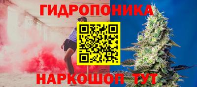 индика Ипатово