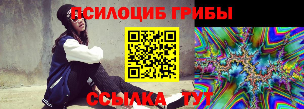 Псилоцибиновые грибы мицелий Коркино
