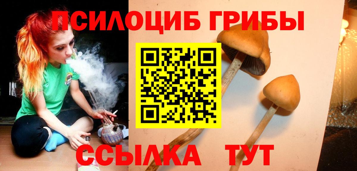 Псилоцибиновые грибы Psilocybe  Вход с VPN  Коркино  Псилоцибиновые грибы ЛСД 